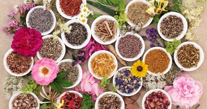 Consultation de Naturopathie en Cabinet