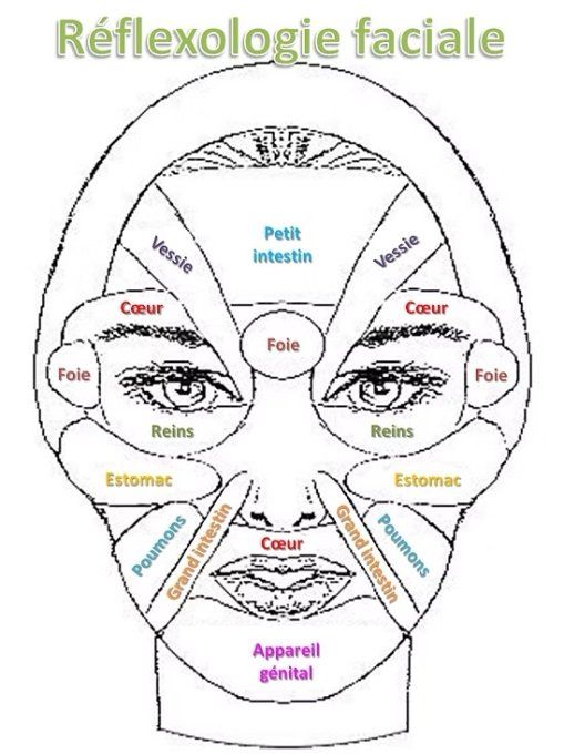 Réflexologie Faciale